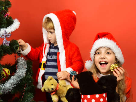 Sister and brother siblings decorate Christmas tree.の写真素材