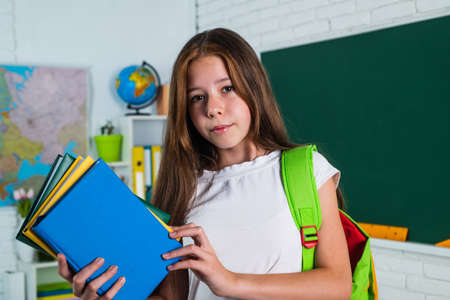 stylish teen schoolgirl studying homework during lesson education concept, literatureの写真素材