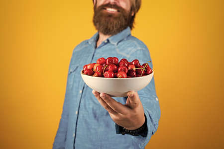 Fresh red sour cherries harvest in plate. seasonal cherry harvest in industrial orchard. Full pot of cherries. man holding ripe sweet cherries. eating ripe berries in early summerの写真素材