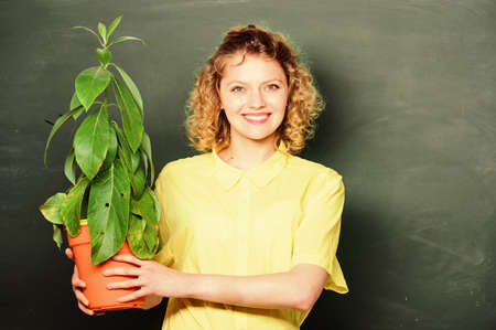 Easy houseplants. Botany is about plants flowers and herbs. Home garden. Houseplants benefits and positive influence on health. Take good care houseplants. Girl hold plant in pot. Floral shopの写真素材