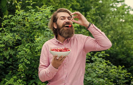 Vegetarian cuisine rich vitamins. happy bearded man with sweet cherry. cherries for breakfast. cheerful male hipster hold fresh berry. fruit full of vitamin. only organic food. dieting and healthの写真素材