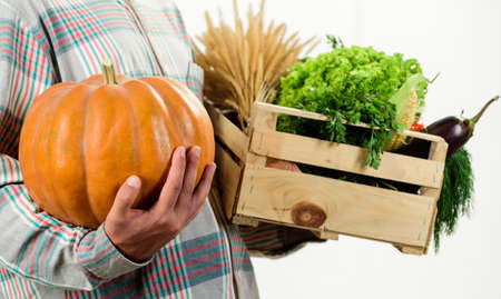 Delivery service fresh vegetables from farm. Buy fresh homegrown vegetables. Just from garden. Farmer carry box or basket harvest vegetables. Excellent quality vegetables. Grocery shop conceptの写真素材