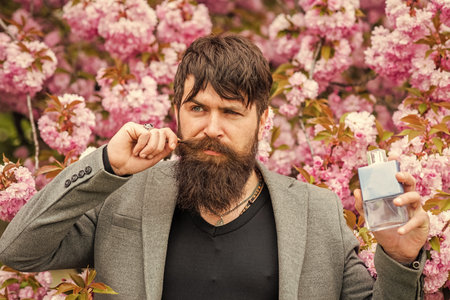 sakura smell. Man hold perfume bottle. Man prefer expensive fragrance smell. Fragrance smell. Best mens fragrance and cologne. To help soothe your skin after shave. New Arrival. Alternative lifestyleの写真素材