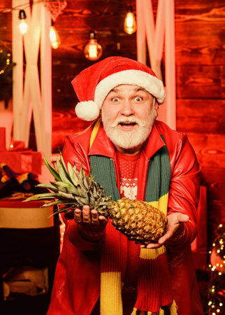 New year celebration. Happy new year. Exotic gift. Winter vacation. New years eve. Cheerful grandfather wear Santa claus hat. Man senior bearded grandpa hold pineapple christmas tree backgroundの写真素材