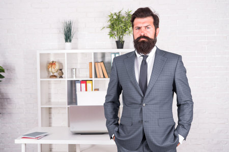Making career. Boss in office. Man beaded hipster launched startup project. Company owner. Ceo concept. Office worker formal suit. Modern business. Business consulting services. Developing businessの写真素材