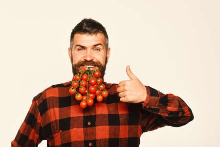 Guy shows harvest. Farmer with confident face holds small tomatoesの写真素材