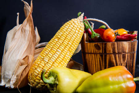 Bucket of fresh organic vegetables, vegetarian cooking