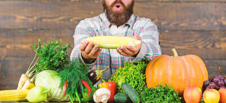 Homegrown organic harvest benefits. Grow organic crops. Community gardens and farms. Healthy lifestyle. Farmer hold corncob or maize wooden background. Farmer presenting organic homegrown vegetablesの写真素材
