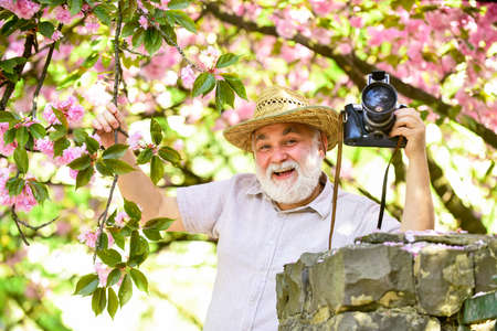 Spring style. sakura in bloom photography. senior bearded man photographing pink blossom. professional photographer designer. happy retirement. man tourist use camera take photo of cherry blossomの写真素材