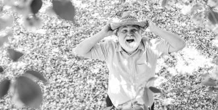 Happy smiling senior man looking up. old man imagining beautiful good things to realize further. mature man looking up with hope. happy man under spring sakura blossom. daydreamingの写真素材