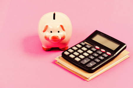 Calculate profit. Piggy bank pink pig and calculator. Business administration. Finance manager job position. Trading exchange. Trade market. Finance control. Credit concept. Economics and financeの写真素材