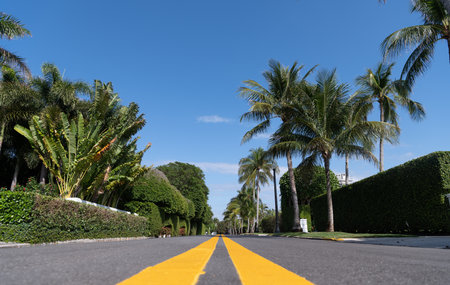 Asphalt highway with yellow marking lines along palm trees in Palm Beach Florida, USA, roadの写真素材