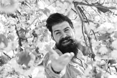 come with me. Handsome smiling bearded man outdoors. Happy easter. brutal mature hipster in cherry bloom. bearded man enjoy sakura blossom. New Life. Forever young and free. Enjoying spring windの写真素材