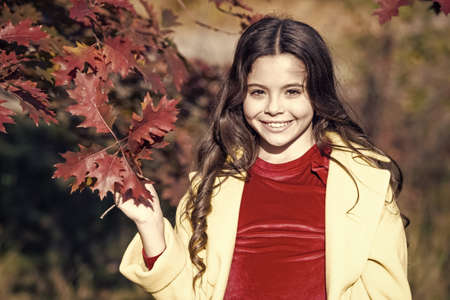 Hello october. Small girl play on fresh air on sunny autumn day. Little child walk in autumn park. Happy autumn holidays. Idyllic nature scene. Live this autumnの写真素材
