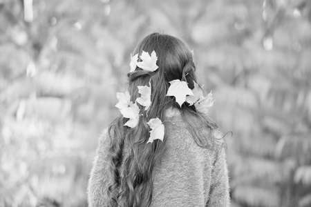 Fall festival. Simple happiness. Kid enjoy autumn outdoors. Meet autumn. Little girl cute child gorgeous long hair maple leaves rear view. Cozy autumn day. Play with leaves. Happy childhoodの写真素材