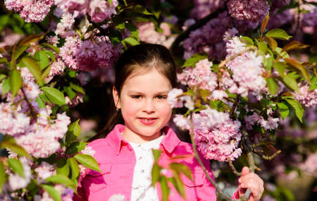 small girl child in spring flower bloom. happy girl in cherry flower. Sakura tree blooming. summer....