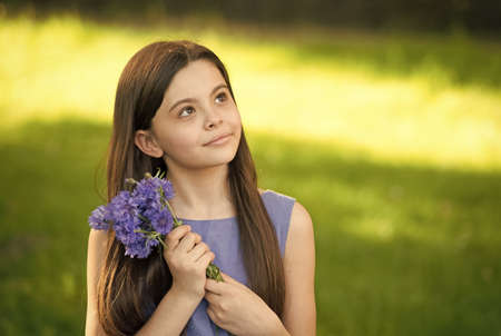 Girl blue dress relax green field with fresh cornflowers, dreamy child concept