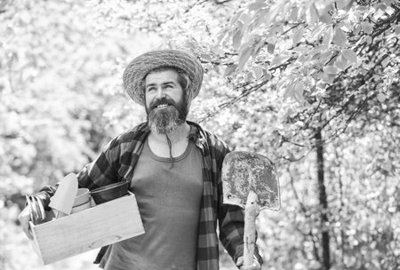 Man bearded hipster collecting harvest. Ranch man. Organic farm. Garden care. Mature farmer planting plants. Planting season. Gardener hold box with gardening tool. Gardening advice. Gardening tipsの写真素材