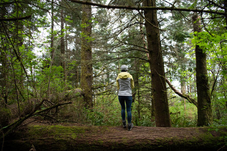 Wilderness where you can really get away. Woman enjoy wild forest of Oregon, USA. Wilderness trip
