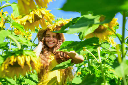 rich harvest and agriculture. happy childhood. kid wear straw summer hat. child in field of yellow flowers. teen girl in sunflower field. concept of summer vacation. Natural giftの写真素材