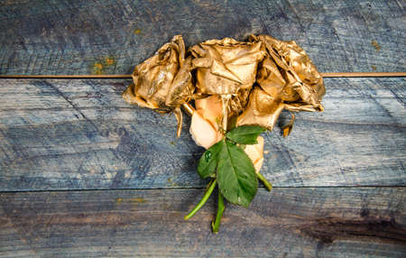 Metallic steel color. Metal flowers. Eternal beauty. Rose flowers. Fashion and beauty. Flowers covered metallic paint close up. Stylish bouquet. Botany concept. Beautiful silver rose. Floral shopの写真素材