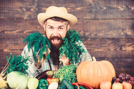 Man mature bearded farmer hold vegetables wooden background. Farmer straw hat with fresh harvest....