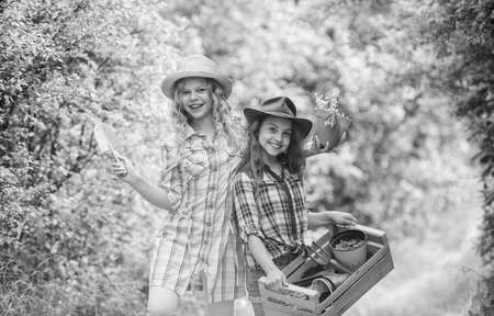 Cheerful children working in garden. Growing vegetables. Planting vegetables. Summer activity. Sisters cute kids helping at farm. Agriculture concept. Girls planting plants. Planting and wateringの写真素材