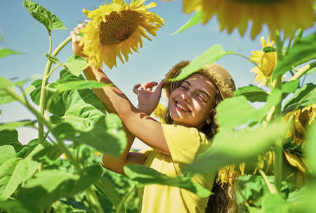 Girl having fun between sunflowers blue sky background, sunny dayの写真素材