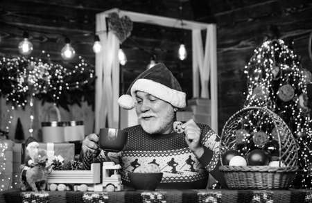 Garland lights cozy atmosphere. Grandpa with mug. Winter holiday celebration. Feeling good at home. Senior man Santa claus drinking tea. New year celebration. Hot beverage. Christmas cocoa recipeの写真素材