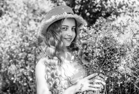 Happy small girl collecting poppy flowers sunny day nature backgroundの写真素材