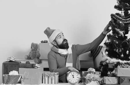 Santa Claus sits near fir tree on pink background.の写真素材