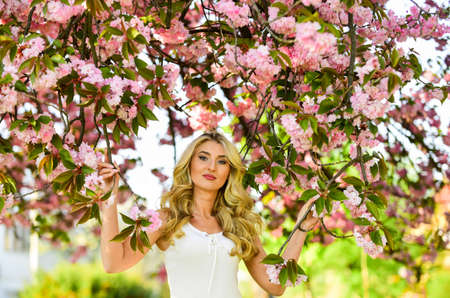 Spring blossoming tree. Cherry tree. Floral aroma. Harmony esoterics and female energy. Spring symbol. Reasons why flowers always make women happy. Happy spring day. Girl enjoy sakura bloom in gardenの写真素材