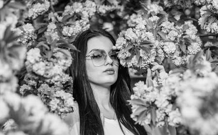 womens day concept. sexy girl enjoy sakura blossom. woman in cherry bloom. Spring flower background. beautiful face female enjoying cherry blossom. Beautiful Spring Brunette Girl with flowersの写真素材