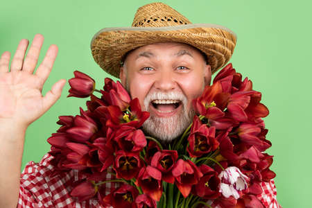 happy old retired man in straw hat hold spring tulip flowers on green background. helloの写真素材
