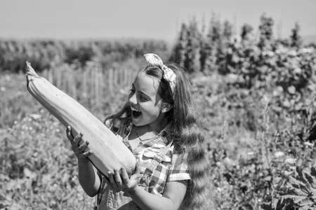 Little girl gardening harvesting big vegetable marrow, organic farm