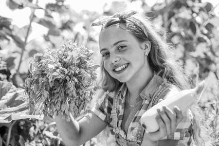 Happy gardener girl growing fresh food just from farmの写真素材