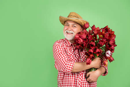 happy old retired man in hat hold spring tulip flowers on green background. copy spaceの写真素材