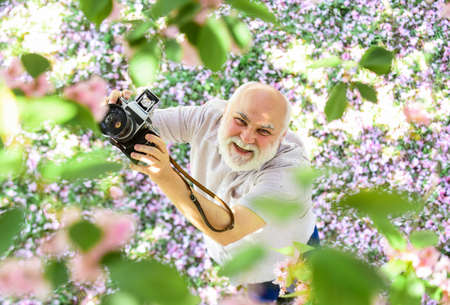 Great pleasure. happy retirement. man tourist use camera take photo of cherry blossom. sakura in bloom photography. senior bearded man photographing pink blossom. professional photographer designerの写真素材