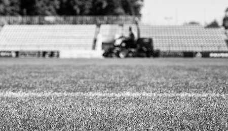 green grass on outdoor stadium, selective focus, sportの写真素材