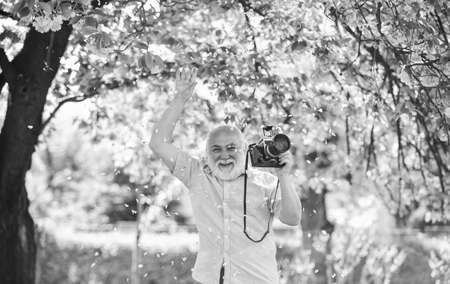sakura petals fall. photographer taking photos of famous cherry blossoms. spring season with full bloom pink flower. photographer man take sakura cheery blossom photo. Cherry blossoming gardenの写真素材