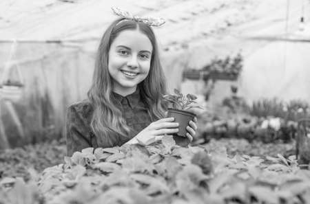happy teen girl florist planting pot plants in greenhouse, gardeningの写真素材