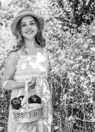Cute girl child with basket fruits nature background, vacation timeの写真素材