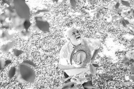 senior man looking up. good memories of past. Human emotions and expressions. Very old man portrait. thinking about youth in park or garden. happy man under spring sakura blossom. Spring allergyの写真素材