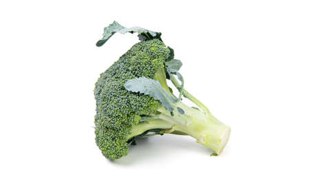 Fresh organic green broccoli cabbage head vegetable isolated on whiteの写真素材