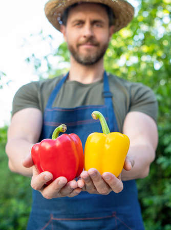 man greengrocer in straw hat with bell pepper. selective focusの写真素材