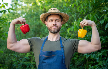 strong man greengrocer in straw hat with sweet pepperの写真素材
