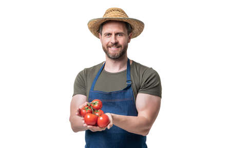 greengrocer in apron and hat with tomato vegetable isolated on whiteの写真素材