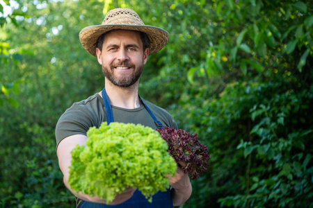 man greengrocer in straw hat with lettuce leaves. selective focus and copy space