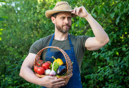 horticulturist in straw hat hold basket full of vegetablesの写真素材