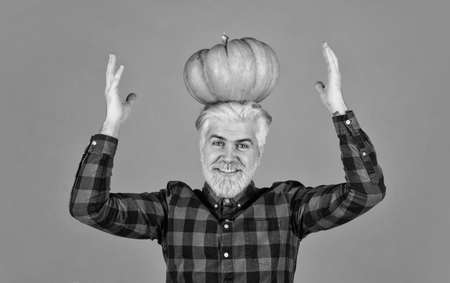 halloween. Welcome autumn. colors of fall season. Harvest time concept. happy farmer with gourd vegetable. man retro checkered shirt. vintage hipster hold pumpkin and maple leavesの写真素材